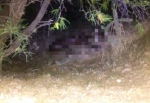 Encuentran cuerpo en avanzado estado de descomposición