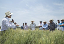 La agricultura no para ante la emergencia sanitaria
