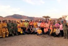 Logran brigadistas forestales controlar y extinguir en su totalidad incendio