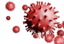 COVID-19 Las lecciones que me ha dejado