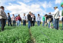 MasAgro promueve el cuidado del medio ambiente