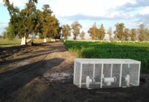 Promueven el ahorro de agua en el sector agrícola