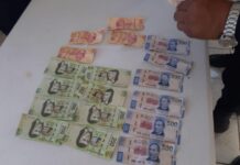 Elementos de Seguridad Pública detienen a dos hombres que portaban dinero falso