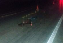 Hombre muere atropellado en la San Felipe – Villa de Reyes