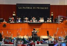 Salvar vidas, prioridad en la estrategia para hacer frente al COVID-19: Alcocer Varela