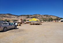 Suspenden evento de peleas de gallos en comunidad