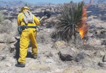 Controlan incendio en la comunidad de Ojo de Agua del Carrizo