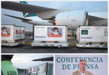 Llega a México un millón de vacunas envasadas Sinovac contra COVID-19