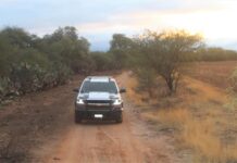 Elementos de Seguridad Pública continúan con operativos para prevenir el abigeato