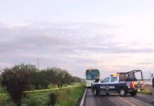 Muere tras ser atropellado en la San Felipe – Dolores