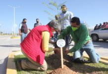 San Felipe participa en campaña de plantación memorial “Raíces de por vida”