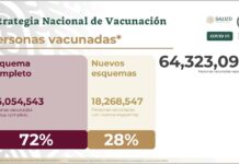 Con esquema completo 72% de la población adulta vacunada contra COVID-19
