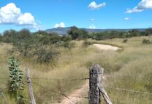 Habitantes de Ex Estación Ventilla piden la reapertura del camino que conecta a Poblado de Guadalupe y Lequeitio