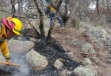 Atienden hasta su extinción un incendio en la Sierra del Cubo