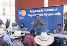 Gobierno del Estado entrega apoyos del programa de Fomento al Aseguramiento Agropecuario