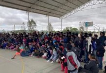 Con la obra de teatro estudiantes y docentes reconsideran el uso de la tecnología en nuestra vida diaria