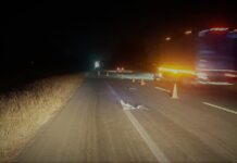 Atropellan a hombre en la San Felipe – Villa de Reyes