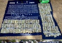 En la semana del 18 al 25 de diciembre, el Operativo Guanajuato Seguro, sacó de las calles casi 5 mil dosis de drogas