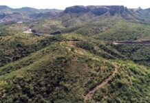 Avanzan proyectos de Bosques Urbanos en Guanajuato