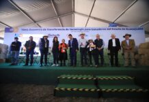 Apoya Estado a apicultores para comprar abejas reinas