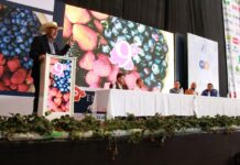 Realizan con éxito noveno Encuentro de Berries de Guanajuato