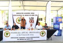 Impulsa la apicultura el Gobierno del Estado