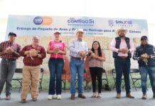 Dispone SDAyR más de $50 MDP para impulsar la alimentación familiar