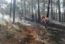 Guanajuato conserva y protege su biodiversidad a través de la prevención y combate de incendios forestales