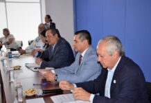 Sesiona Consejo Estatal de Salud Mental en Gto, enfocan esfuerzos en adicciones y suicidio