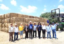 Entrega SDAyR pacas de rastrojo a ganaderos de Juventino Rosas