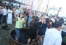Celebran Vendimia Vinícola El Paraíso y Viñedo Toyan