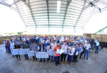 Entrega SDAyR apoyos económicos a productores de trigo