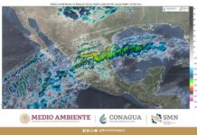 Hoy se mantendrá el ambiente de frío a gélido, con nevadas en el noroeste y norte de México