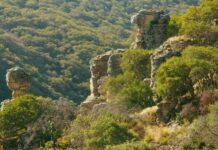 Invita SMAOT a realizar turismo de naturaleza en Guanajuato