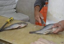 SSG refuerza el Operativo Cuaresma 2024