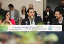 Avanza Guanajuato en la producción de ladrillo sustentable
