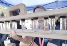 SSG informa 230 casos acumulados por dengue en la entidad