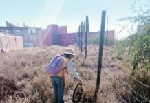 SSG implementa estrategia de control larvario en la capital del estado