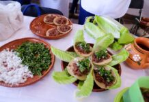 Preparan los Concursos Regionales del Platillo Saludable: “Guanajuato Se Nutre con Grandeza”