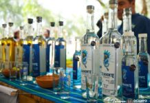 Celebran segunda edición de Festival del Vino, Mezcal y Escamoles ¡Ocampo Sí Sabe!