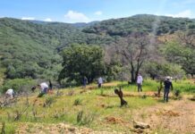 Guanajuato refrenda su compromiso en la restauración de los ecosistemas