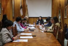 SE REALIZA LA SESIÓN ORDINARIA XI