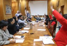 EDILES APRUEBAN EL COMITÉ MUNICIPAL CIUDADANO