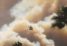 Gobierno del Estado atenderá a guanajuatenses ante incendios en California