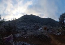 Registran nevadas y temperaturas bajo 0 °C en municipios de Guanajuato; efectos del frente frío continuarán hasta el viernes 24