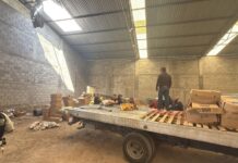 Recupera operativo interinstitucional más de 15 toneladas de productos de la canasta básica