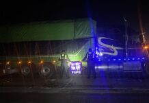 Detiene Secretaría de Seguridad y Paz a presunto ladrón de transporte de carga con 17 toneladas de naranjas en San Felipe