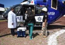 Misión cumplida: Secretaría de Seguridad y Paz traslada órgano a Ciudad de México