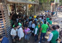 Se va a otorgar todo lo necesario para que estén mejor: Presidenta Claudia Sheinbaum en visita a El Higo, Veracruz