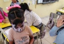 Estudiantes celebran el Día de Muertos fortaleciendo la lengua y tradiciones del pueblo otomí